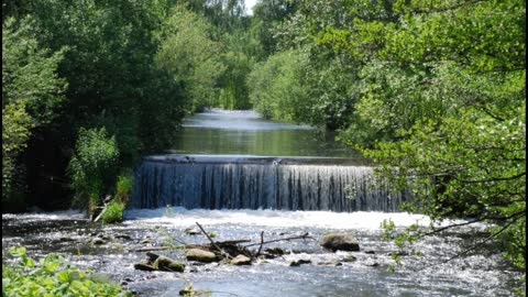 Help fall asleep with the sounds of nature