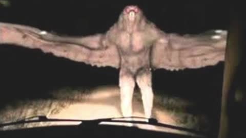 3rd Winged Humanoid Sighted in Bensenville Illinois