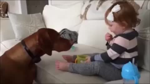 Dog attempts to steal food from baby