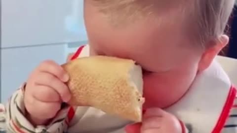 Babies Falling Asleep While Eating - Cute and funny Baby Videos