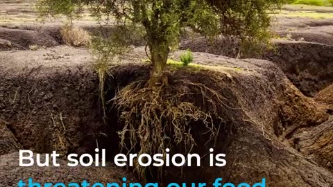 Soil erosion is threatening our food security