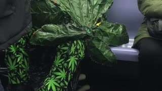 Old man dressed as giant weed leaf on subway train