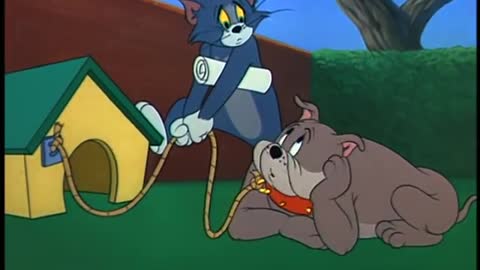 tom and jerry fit to be tied