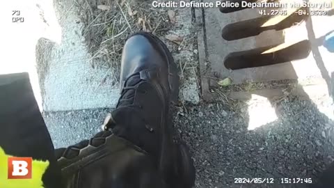 Aw, Poor Kitty! Officer Hears Kitten's Cry for Help and Lassos Feline Out of