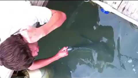 Teen Catches A Big Tarpon With Bare Hand