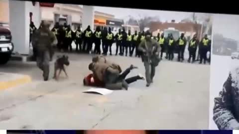 Man gets tackled by NWO troops at the Ambassador Bridge today