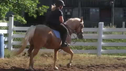 Learning How To Ride Difficult Horse