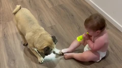 these two find a flashlight 🙄 #toddlersoftiktok #bellylaughs #dogsofttiktok #babygiggle #dogandbaby