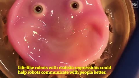 Human Skin On Robot Faces