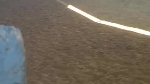Horse gets sassy as we transition in round pen