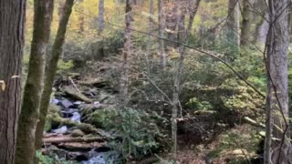Mountain stream peace 1