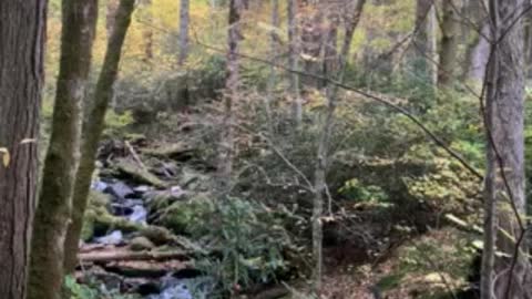 Mountain stream peace 1