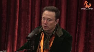 Elon Musk: "The Environmental Movement Has Gone Too Far"