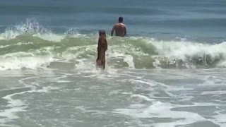 Going to rescue dad dog runs to master in ocean