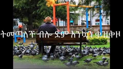 Ethiopian nice video