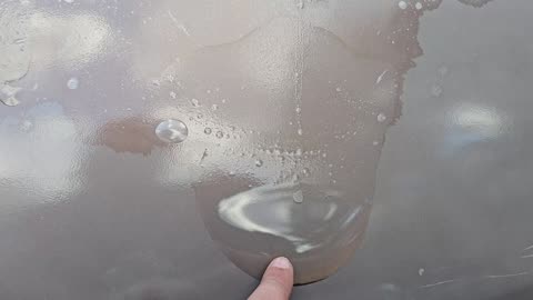 Clearcoat Failure Water Bubble
