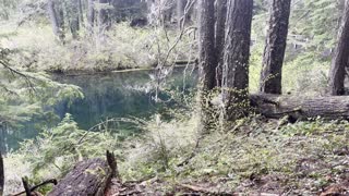 Hiking the Southern Section of Clear Lake Loop – Willamette National Forest – 4K