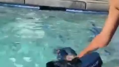 Kid has a blast playing with cool underwater scooter👏🏽