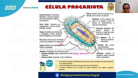 REPASO INTENSIVO ADUNI 2021 | Semana 01 | Biología | Lenguaje | Psicología S1