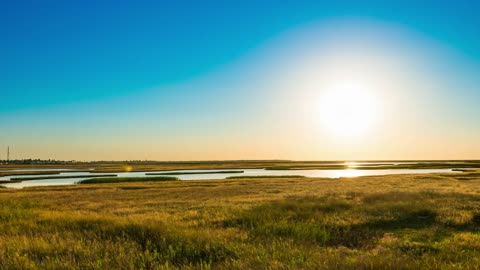 Sun in the skyline in the field with a clear sky