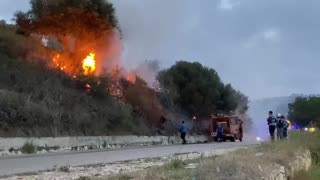 VIDEO/ Zjarr pranë Spitalit Rajonal Vlorë, flakët përfshijnë sipërfaqen me ullinj