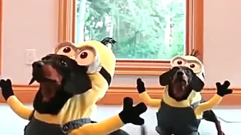 Dogs and minions