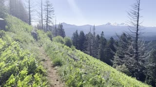 Hiking the Majestic Mountainside – Willamette National Forest – Central Oregon – 4K