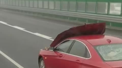 The hood of a car on the road was raised