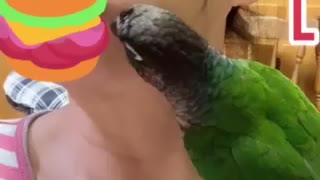 Parrot Begging For Food In My Mouth