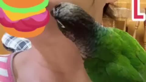 Parrot Begging For Food In My Mouth