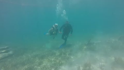 Isla mujeres