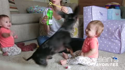 Ellen's Favorite Babies Laughing