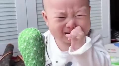 Babies play dancing cactus toy. cutest baby funniest moments