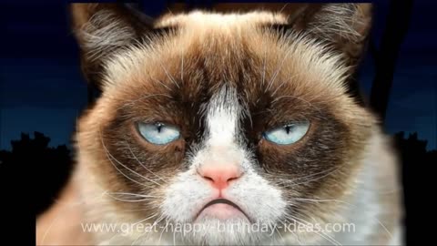 GRUMPY CAT HAPPY BIRTHDAY SONG (TOO FUNNY)