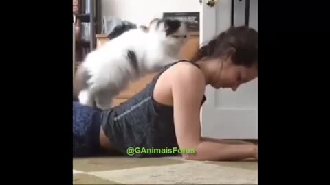 masseuse cat