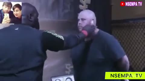 the most brutal slap fights