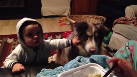 Dog says mama and baby can't