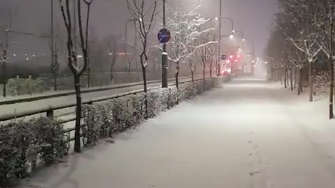 Korea's Last Snow!