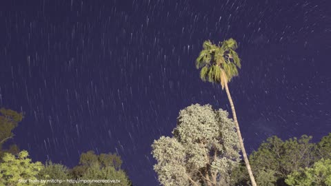 Don’t Miss the Delta Aquariid Meteor Shower Light Up the Night Sky