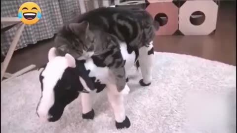 Funny Animal compilations part 1 🤣🤣🤣