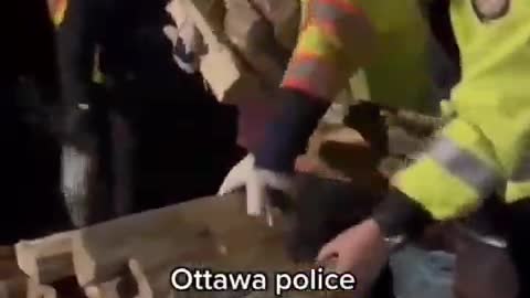 🇨🇦🚨 Trudeau's minions stealing firewood in Ottawa, Canada 😡