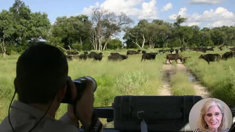 A MAGICAL SAFARI | BOTSWANA | AFRIC