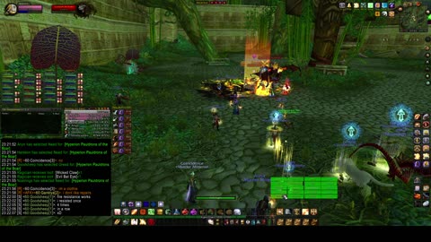 Turtle Wow - MM ZG - 20 July - paladin POV