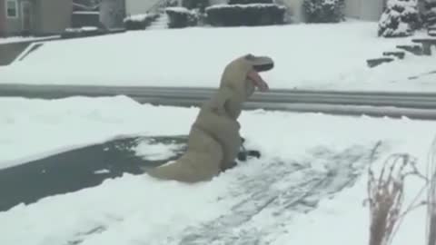 Dinooooo and snow