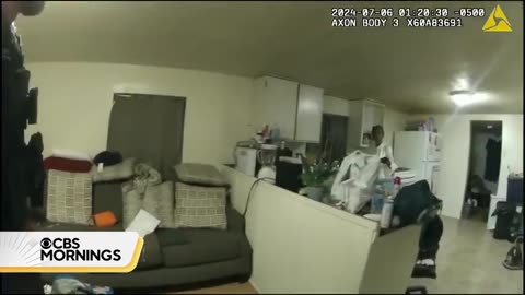 Bodycam video shows moments B4 Illinois sheriff's deputy shoots Black woman in her home