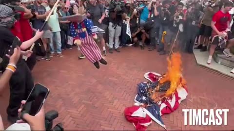 Retarded Leftist Rioting Outside U.S Capitol Building Burn U.S. Flag Stolen Off Flagpole.