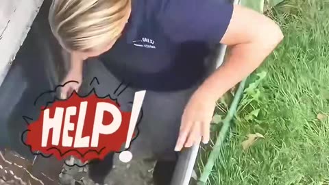 The woman rescued a trapped fawn and apopted it