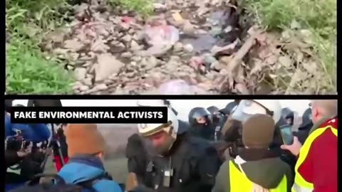 Environmentalists versus Globalist Useful Idiot