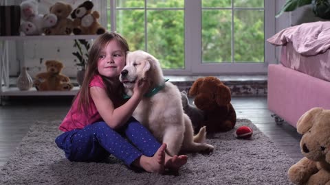 Gentle bonding between a child and a pet dog - morning exercises in the nursery