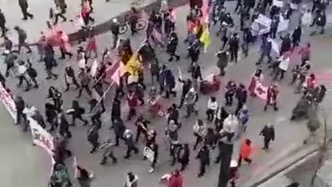 Ottawa. Over 500,000 protesters from the truckers protest besiege Parliament.